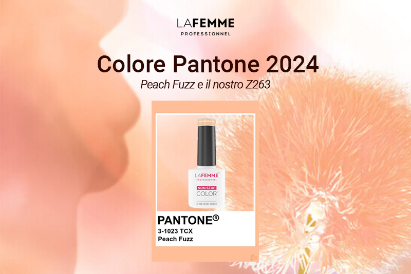 Smalto Semipermanente Colore Pantone 2024